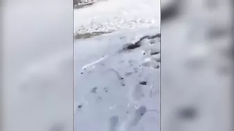 Do Not Drive A Car Or Helicopter After Drinking