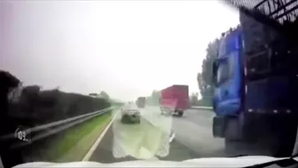 Stupid Driver