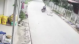 Free Bicycles