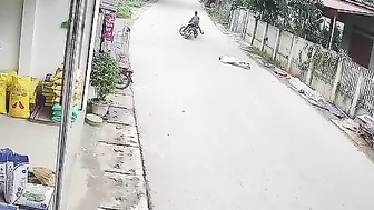 Free Bicycles