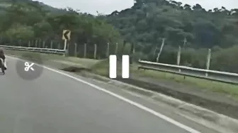 Hit By A Sports Car