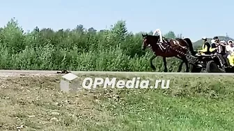 Horse Accident