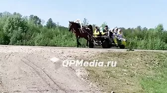 Horse Accident