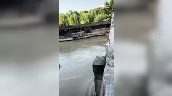 Houseboat Destroyed After Hitting Bridge