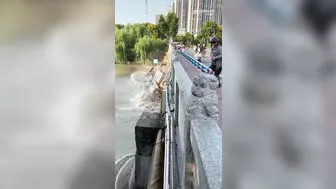Houseboat Destroyed After Hitting Bridge