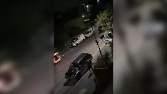 Innocent Cows Mind Their Own Business