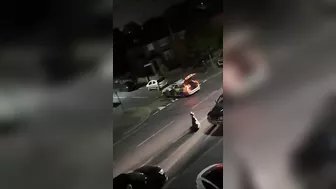 Innocent Cows Mind Their Own Business