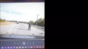 Police Dog Not Injured After Collision With Patrol Car