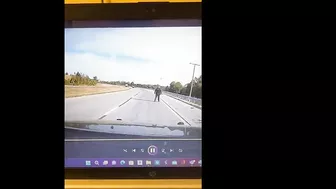 Police Dog Not Injured After Collision With Patrol Car