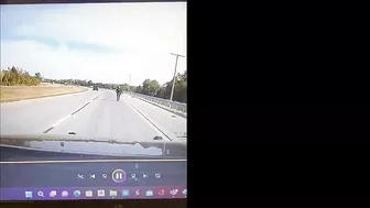 Police Dog Not Injured After Collision With Patrol Car