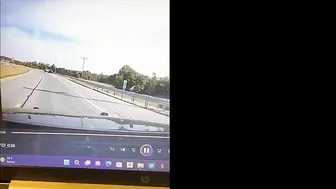 Police Dog Not Injured After Collision With Patrol Car