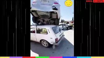 Radaniva Vs Uber