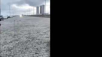 Loser Crashes Rental Sports Car In Drag Race