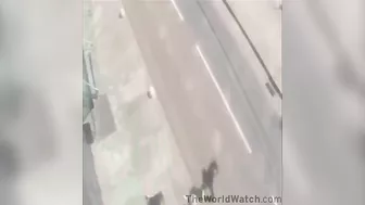 Now You Took Her To See The Hit Show Scooter Boy's Cry Russian Girl