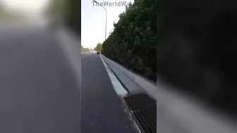 Inattentive Tesla Driver Ruins Cyclist's Day