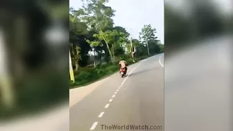 2 Girls And 1 Scary Biker