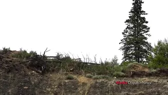 9 Real Cars Were Tested, 1 Was Successful