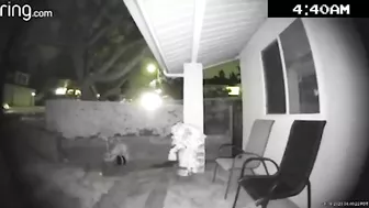 90 Mph In Residential Area At Night