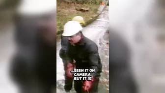 A Good Rope Is Essential