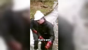 A Good Rope Is Essential