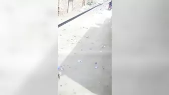 A Punch From The Donkey
