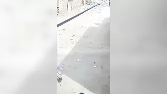 A Punch From The Donkey