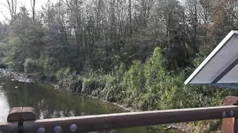An Italian Trout River