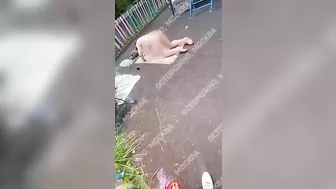 A Mentally Ill Man Sunbathes On The Playground