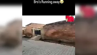 Absolute Cinema
