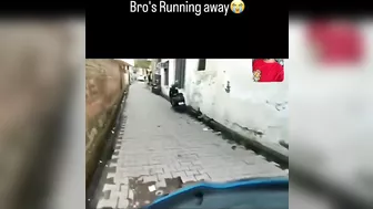 Absolute Cinema