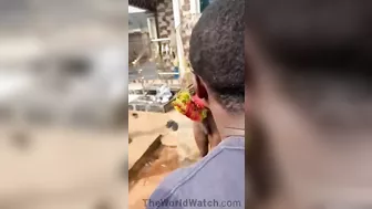 Justice For This Cable Thief On The Streets Of Africa