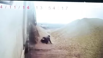 Almost Buried Alive