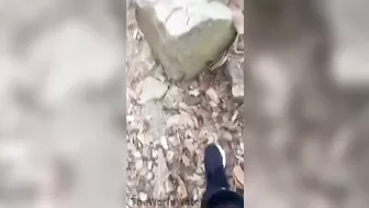 Another Great Photographer