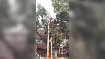 Another Electrician Electrocuted To Death In India