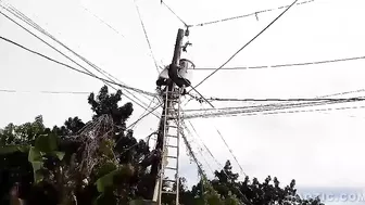Another Power Cable Victim In India