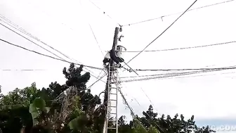 Another Power Cable Victim In India