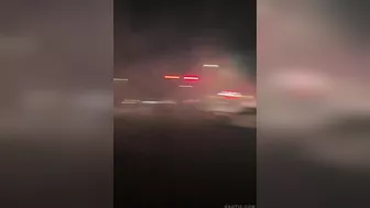 Fun In The Bay Area