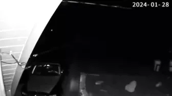 Undertake Insurance Fraud Lawsuits