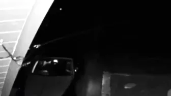 Undertake Insurance Fraud Lawsuits