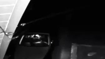 Undertake Insurance Fraud Lawsuits