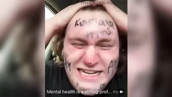 Beta Male Breakdown Is My Favorite