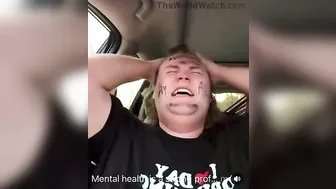 Beta Male Breakdown Is My Favorite