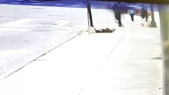 Black Man Knocks Down White Woman For No Reason