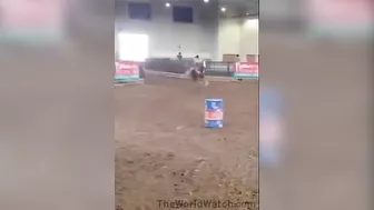 Blonde Loses Her Pants When Horse Fights Back