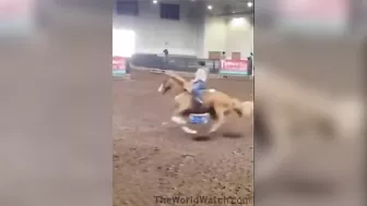 Blonde Loses Her Pants When Horse Fights Back