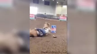 Blonde Loses Her Pants When Horse Fights Back