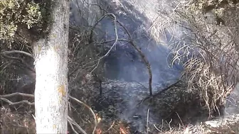 Campfire Near The House