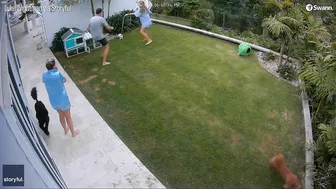 Brave Girl Saves Guinea Pig