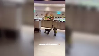Blatant Robbery