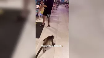 Blatant Robbery